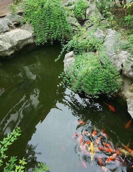 花园水池|庭院池塘的风水布局